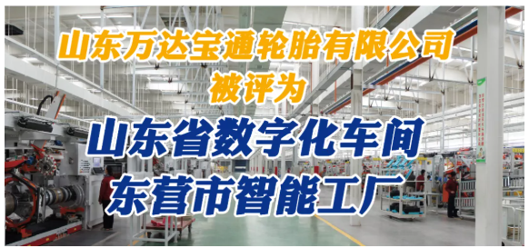 山東萬達寶通輪胎對其全年工作做了詳細總結(jié)。
