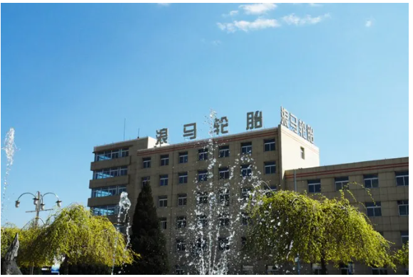 公司全年實現(xiàn)銷售收入28.8億元，年產(chǎn)量358萬套，年銷量350萬套，產(chǎn)銷量均創(chuàng)建廠以來的最高紀錄。