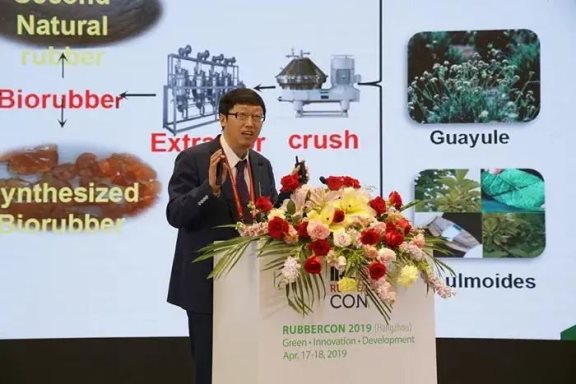 張立群老師在rubbercon國際會議上做大會報告 張立群老師在rubbercon國際會議上做大會報告