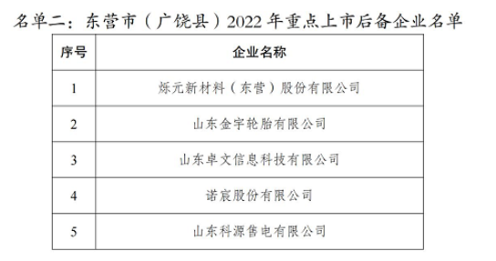 2022年重點(diǎn)上市后備企業(yè)名單，其中包括金宇輪胎。