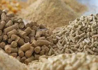 俄烏兩國對飼料價格的影響有多大？