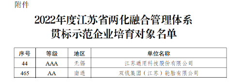 江蘇政府：重點(diǎn)培育這兩家輪胎！