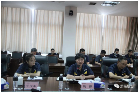 本次兩化融合管理體系貫標(biāo)啟動大會的召開，標(biāo)志著黑貓股份兩化融合工作開啟了新的征程
