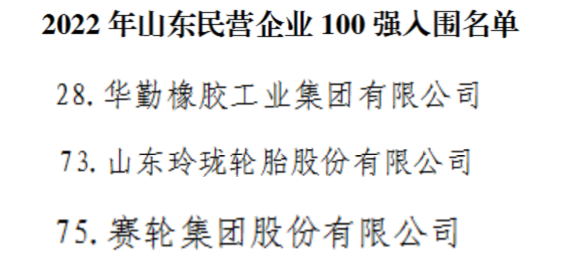 山東民企100強，三大輪胎上榜！