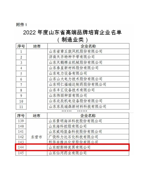 耐斯特炭黑公司將錨定“走在前、開(kāi)新局”，繼續(xù)踐行“創(chuàng)新引領(lǐng)、經(jīng)營(yíng)增效，高效管理、節(jié)能創(chuàng)效，持續(xù)發(fā)展、管理提效”的戰(zhàn)略定位，把科技創(chuàng)新擺在更加突出的位置、置于更加優(yōu)先的發(fā)展方向，大力推進(jìn)以企業(yè)為主體的技術(shù)創(chuàng)新體系建設(shè)，強(qiáng)化關(guān)鍵核心技術(shù)攻關(guān)，牢牢掌握創(chuàng)新發(fā)展主動(dòng)權(quán)，打造原始創(chuàng)新高地和強(qiáng)大引擎，持續(xù)推動(dòng)產(chǎn)學(xué)研用一體化發(fā)展，以更自覺(jué)的擔(dān)當(dāng)、更堅(jiān)決的態(tài)度、更有力的舉措持續(xù)加強(qiáng)高技能人才隊(duì)伍建設(shè)，努力為山東先進(jìn)制造業(yè)強(qiáng)省建設(shè)貢獻(xiàn)更多的萬(wàn)達(dá)耐斯特智慧和力量，以更優(yōu)異的成績(jī)迎接黨的二十大勝利召開(kāi)。