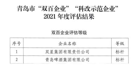 10.雙星集團(tuán)，全國國企改革“雙百企業(yè)”標(biāo)桿!