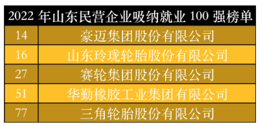 山東民營企業(yè)吸納就業(yè)100強榜單中，豪邁集團、玲瓏輪胎、賽輪集團、華勤橡膠、三角輪胎位列其中。作為勞動力較為密集的制造業(yè)，以上5家輪胎及相關(guān)企業(yè)吸納就業(yè)數(shù)千人。