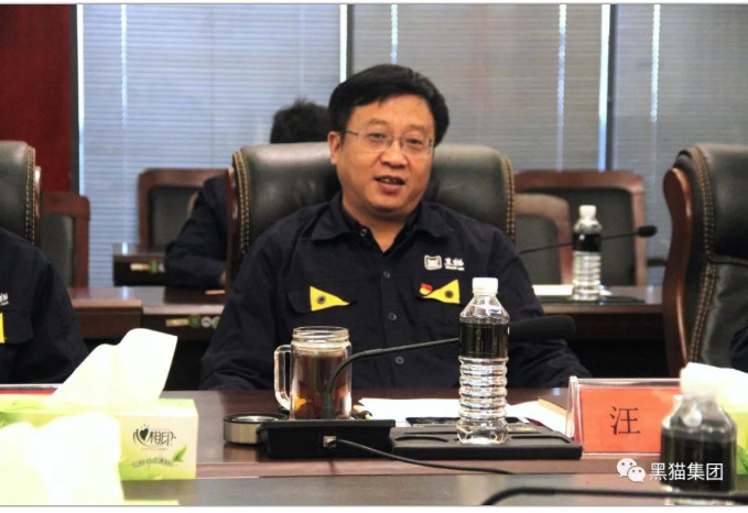 會上，汪羽代表黑貓集團對李雨強一行的到來表示熱烈歡迎，并簡要介紹了集團關(guān)于企業(yè)發(fā)展、海外市場、國際業(yè)務(wù)等工作情況。他表示，集團將繼續(xù)加強與省外辦、市外辦對接聯(lián)系，全力以赴做好集團外事工作，提高國際交流合作水平。