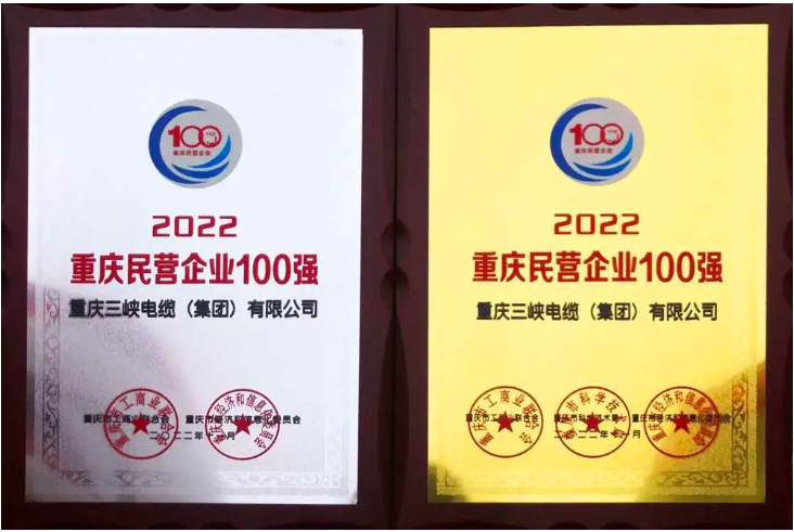 三峽電纜蟬聯(lián)“重慶民營企業(yè)100強(qiáng)”“重慶制造業(yè)民營企業(yè)100強(qiáng)”