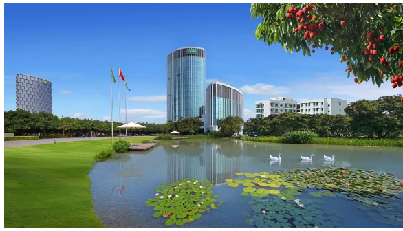 成為亞太增長(zhǎng)最快涂料企業(yè)，三棵樹(shù)未來(lái)可期