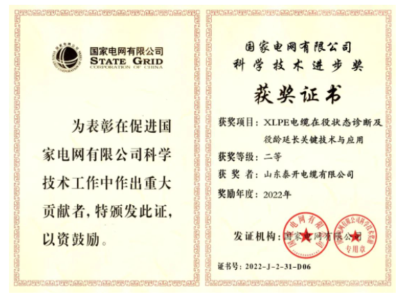 山東泰開(kāi)電纜有限公司憑借其“XLPE電纜在役狀態(tài)診斷及役齡延長(zhǎng)關(guān)鍵技術(shù)與應(yīng)用”項(xiàng)目，獲得了國(guó)家電網(wǎng)有限公司的“科學(xué)技術(shù)進(jìn)步獎(jiǎng)”，這是對(duì)該公司近年來(lái)高質(zhì)量發(fā)展的充分肯定。