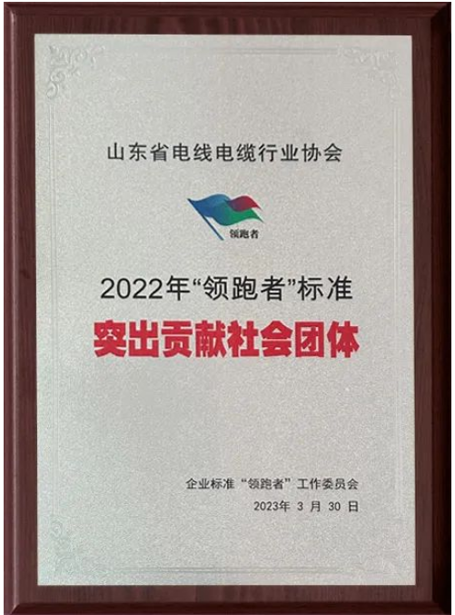 會(huì)上，山東省電線電纜行業(yè)協(xié)會(huì)獲“2022年‘領(lǐng)跑者’標(biāo)準(zhǔn)突出貢獻(xiàn)社會(huì)團(tuán)體”“2022年‘領(lǐng)跑者’榜單突出貢獻(xiàn)評估機(jī)構(gòu)”兩項(xiàng)殊榮。授牌儀式隆重舉行，這也標(biāo)志著山東省電線電纜行業(yè)協(xié)會(huì)在企業(yè)標(biāo)準(zhǔn)“領(lǐng)跑者”制度的評價(jià)工作中取得了重要成果。