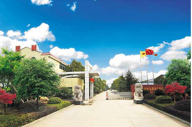 這次行政處罰是湖南省常德市武陵區(qū)應(yīng)急管理局針對(duì)該公司的違法行為采取的措施之一。處罰金額為9萬(wàn)元，旨在敦促湖南雙獅橡膠制品有限責(zé)任公司加強(qiáng)對(duì)安全生產(chǎn)的管理和規(guī)范，確保生產(chǎn)過(guò)程中的安全性。