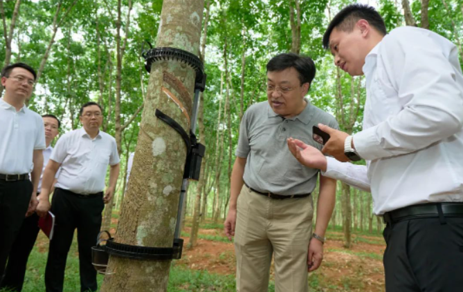 據(jù)了解，天然橡膠作為國(guó)家重要的戰(zhàn)略物資和工業(yè)原料，也是膠農(nóng)收入的重要來(lái)源。海南作為我國(guó)重要的天然橡膠生產(chǎn)和加工基地，馮飛書記指出，海南合勝橡膠科技有限公司和相關(guān)科研單位應(yīng)始終懷揣著"國(guó)之大者"的情懷，堅(jiān)定發(fā)展信心，聚焦海南天然橡膠全產(chǎn)業(yè)鏈發(fā)展，致力于打破產(chǎn)業(yè)鏈發(fā)展中的阻礙，推動(dòng)海南天然橡膠產(chǎn)業(yè)高質(zhì)量發(fā)展，確保國(guó)家天然橡膠供給的安全。
