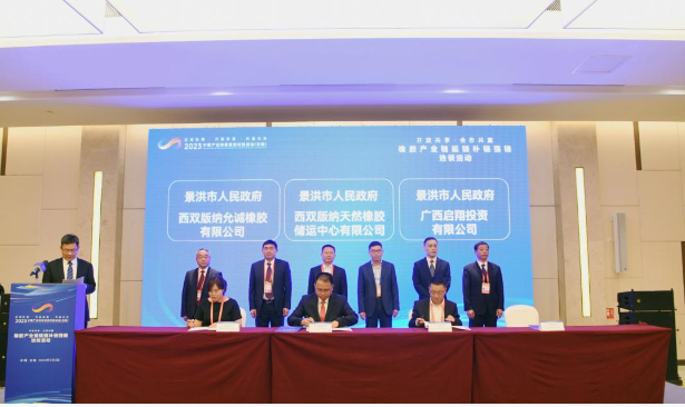 本次活動的主題為“開放共享 合作共贏”，吸引了來自省內(nèi)外的數(shù)百位企業(yè)家共襄盛舉?；顒又?，代表們有機(jī)會展開充分的交流和深入的洽談，旨在達(dá)成更多合作共識，促進(jìn)全方位的合作，推動云南天然橡膠的高質(zhì)量發(fā)展。會上舉行了項(xiàng)目簽約儀式，共有6個項(xiàng)目成功簽約，總投資額達(dá)到30億元。與會的各個州市代表在現(xiàn)場對這些項(xiàng)目進(jìn)行了詳細(xì)介紹，并進(jìn)行了項(xiàng)目交流。