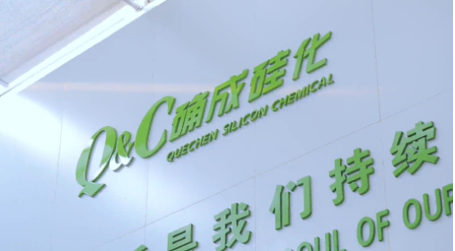 確成硅化學(xué)股份有限公司自成立至今，專注于沉淀法二氧化硅產(chǎn)品的研發(fā)、制造和銷售，經(jīng)過20年的發(fā)展，已經(jīng)成為全球主要的二氧化硅產(chǎn)品專業(yè)制造商之一。確成股份擁有從原材料硫酸、硅酸鈉到最終產(chǎn)品二氧化硅的制造產(chǎn)業(yè)鏈，產(chǎn)品主要市場(chǎng)聚焦在橡膠工業(yè)領(lǐng)域的高性能子午線綠色輪胎配套專用材料以及動(dòng)物營(yíng)養(yǎng)品領(lǐng)域的動(dòng)物飼料載體用二氧化硅。此外，確成股份在國內(nèi)外擁有多個(gè)生產(chǎn)基地，總產(chǎn)能位列世界第三位，主要客戶包括國際知名輪胎和動(dòng)物營(yíng)養(yǎng)品公司。