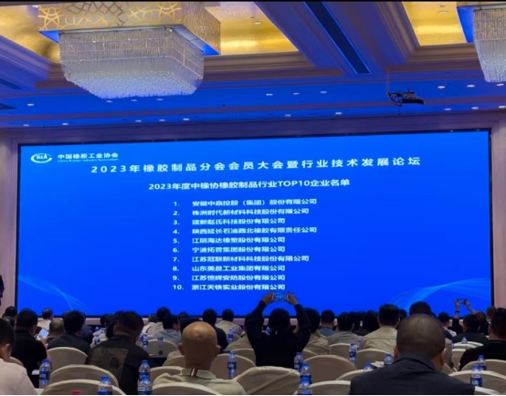 本次大會(huì)上，2023年度全國(guó)橡膠制品行業(yè)“十強(qiáng)”企業(yè)名單重磅出爐。名單顯示，安徽中鼎控股(集團(tuán))股份有限公司、株洲時(shí)代新材料科技股份有限公司、建新趙氏科技股份有限公司在2023年的綜合實(shí)力和市場(chǎng)地位上取得了顯著成就，獲得了橡膠制品行業(yè)“十強(qiáng)”企業(yè)前三名的榮譽(yù)。